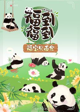 福到福到福宝见面会 - 福宝回国后首次亮相_情节与节奏_可怡短剧-影影网_情节与节奏